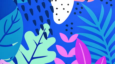 colorful tropical leaves and abstract shapes animation on blue background