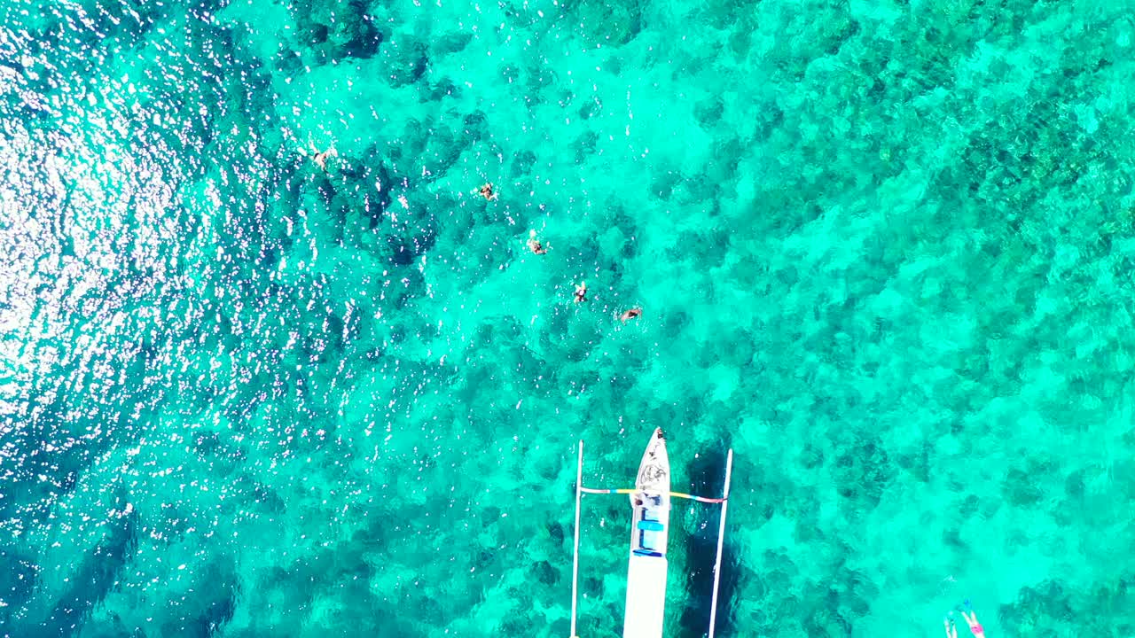 un grupo de turistas explorando los hermosos arrecifes de coral en las aguas cristalinas de una isla tropical
