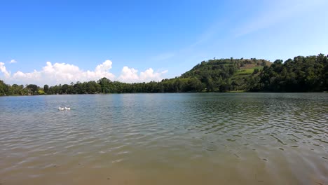 Patos-Nadando-En-El-Lago