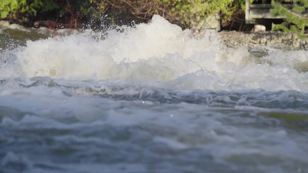 L'acqua di un fiume impetuoso scorre a valle, sollevando una fitta nebbia bianca e spruzzi. Una densa foresta verde costeggia le rive distanti durante una luminosa giornata di primavera in Ontario