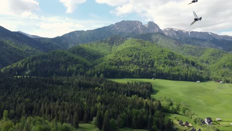 paisaje volando por el legendario pico giewont en las montañas polacas tatry, tierras de cultivo, bosques cerca de zakopane, polonia, una ciudad turística con arquitectura goral tradicional