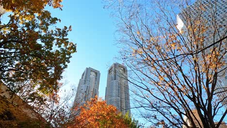 vibrant autumn day in tokyo, japan