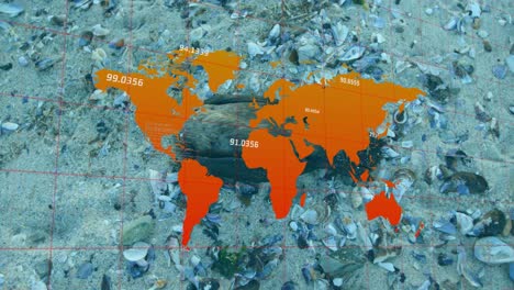 animation of data processing and world map over waste and bird on beach