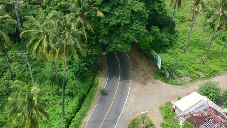 local person walking on tropical jungle road in lombok surrounded by coconut trees, aerial top down