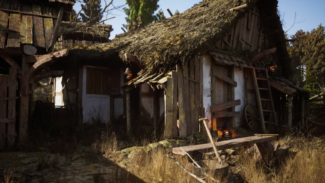 Abandoned rustic cottage surrounded by overgrown vegetation in a forest
