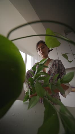 mujer regando plantas de interior