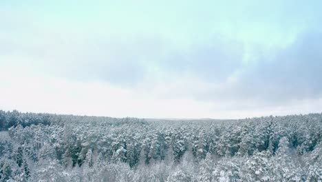 Close-up-view-of-winter-beautiful-landscape-with-trees-covered-with-hoarfrost-and-snow-while-drone-flies-away