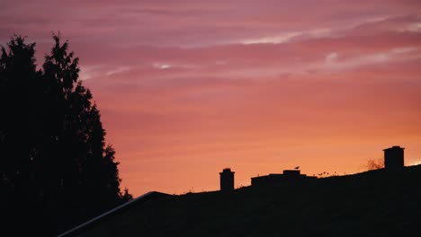 timelapse: an incredible red-pink sunrise in amsterdam, netherlands.