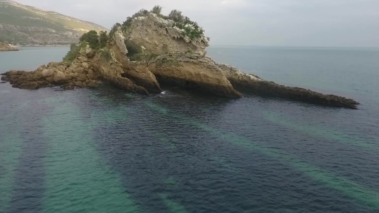 Rotation aerial view showing the zoological reserve Pedra da Anicha (in the beauty Arrabida Natural Park, Portugal), with many seagulls flying around. Slow motion