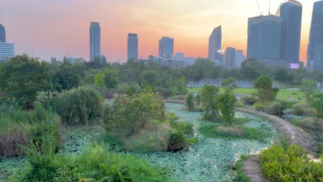 scenic view of pond and city skyline