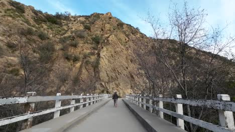 女狗在秋天向山上徒步旅行时沿着桥行走