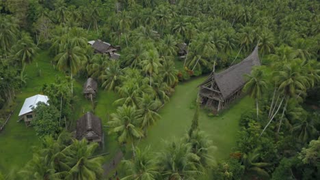 aerial view slow moving shot, scenic view of haus tambaran and palm trees in kanganaman village, sepik region, papua new guinea