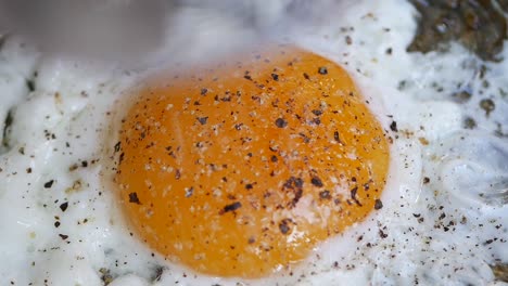 fried egg in a pan