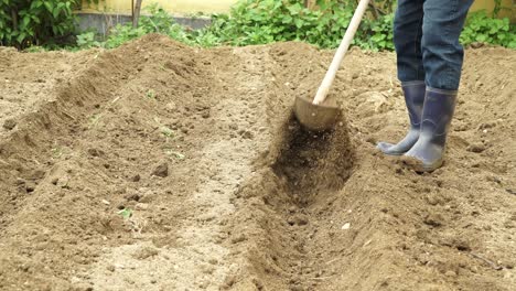 man tilling soil with shovel. cropped shot