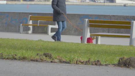 joven corriendo en el paseo marítimo seguido por un hombre de mediana edad y un perro con correa
