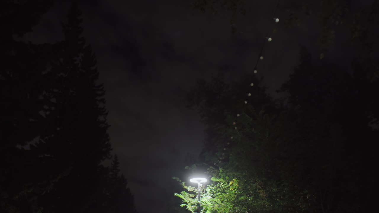 Nighttime view of leaves glowing under bright street light, set against dramatic cloudy sky and surrounded by dense trees, creating peaceful yet mysterious nighttime outdoor atmosphere