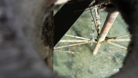 Looking-through-wooden-promenade-jetty-deck-hole-to-weathered-iron-support-structure-waves-underneath