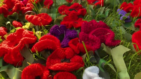 hand made red remembrance poppies lying on grass in sunset lighting outside church. part of ve day commemorations.