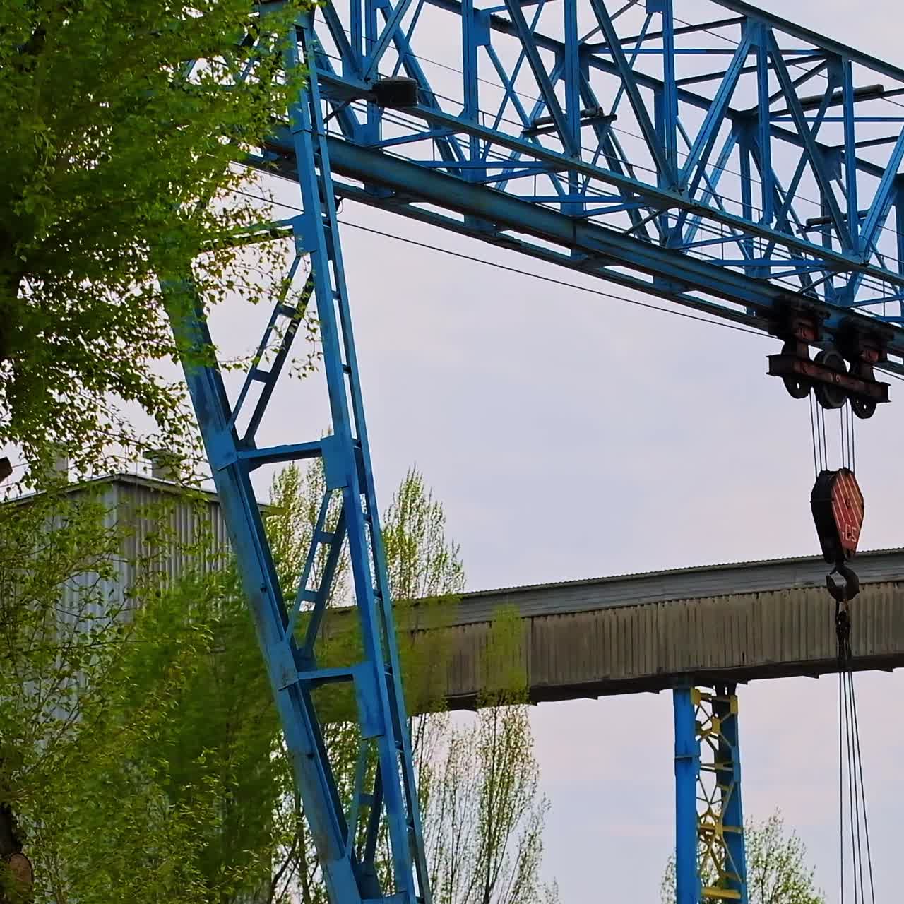 Metal blue crane with automated hook in the middle and hanging cable. Green tree growing at the territory beside the crane