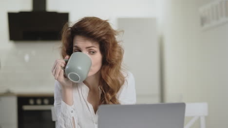 serious woman looking at laptop computer at open kitchen.