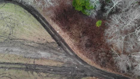 tire tracks in grass field destroyed aerial drone tracking