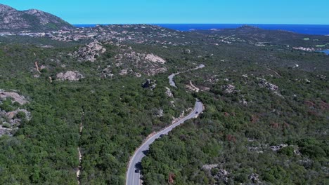 Porto-Cervo-long-beach-woods-SS-Italy-aerial