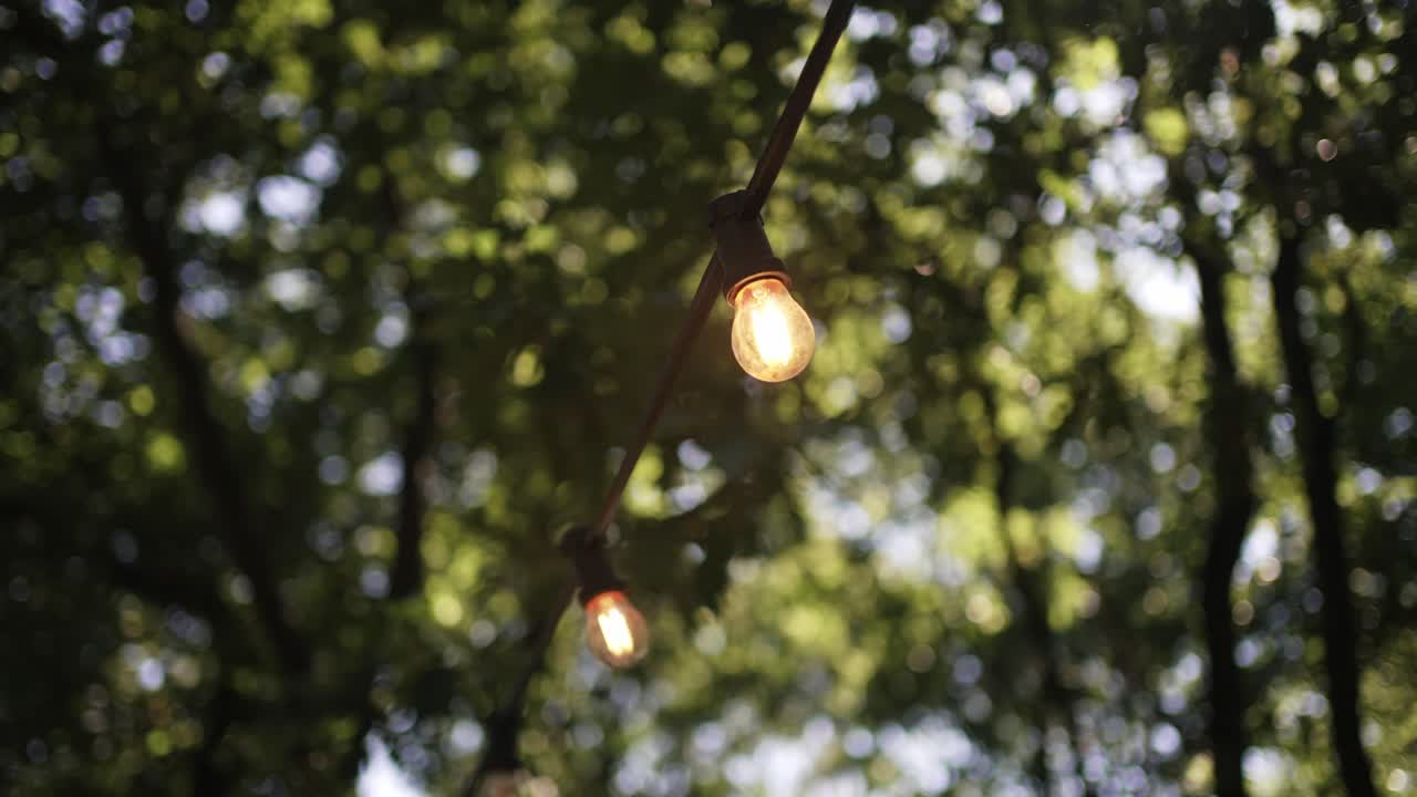 hanging string lights gently glowing against a blurred green forest canopy background