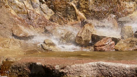 beautiful waterfall from a cliff in the forest. 4k video of flowing water, flowing stream among stones. stream in the forest