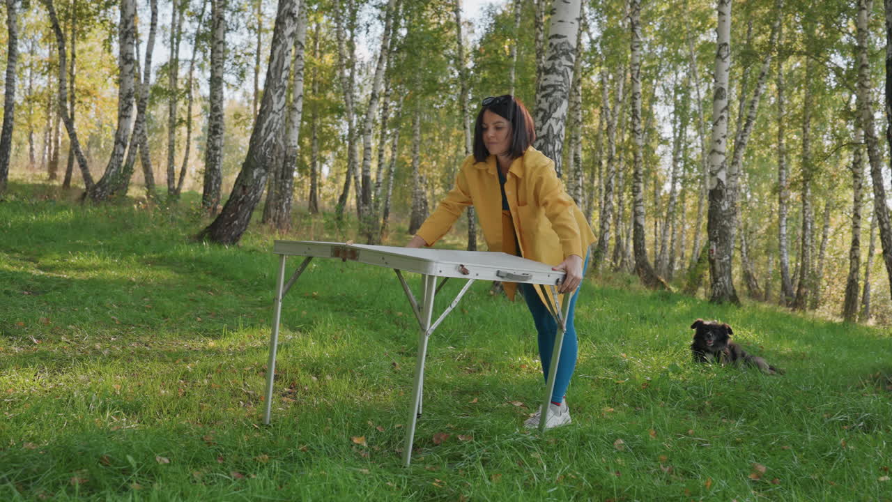 Mujer caucásica desplegando una mesa de camping en una arboleda de abedules, manos metódicas revisando las patas y los cierres; un perro atento a distancia, luz solar a través de los árboles, preparación tranquila para una comida al aire libre.
