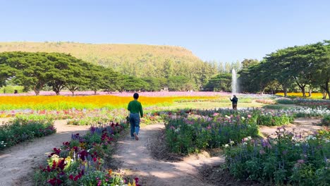 people walking in a vibrant flower garden