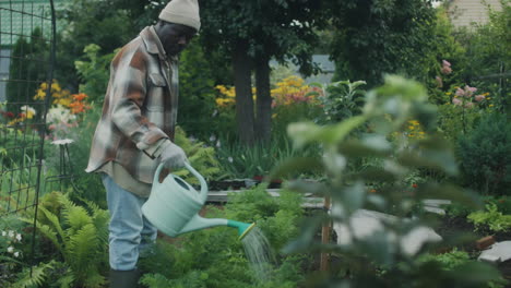 man watering plants in a lush garden