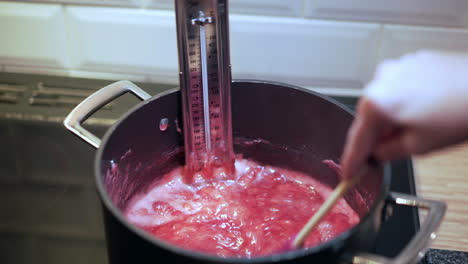 Homemade-jam-making-with-thermometer