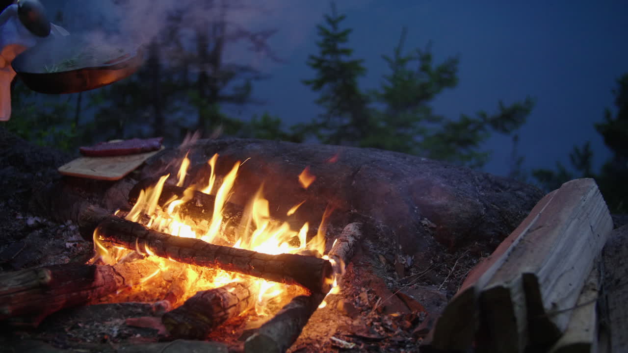 persona cocinando una comida en una sartén de hierro fundido sobre un fuego abierto al aire libre por la noche