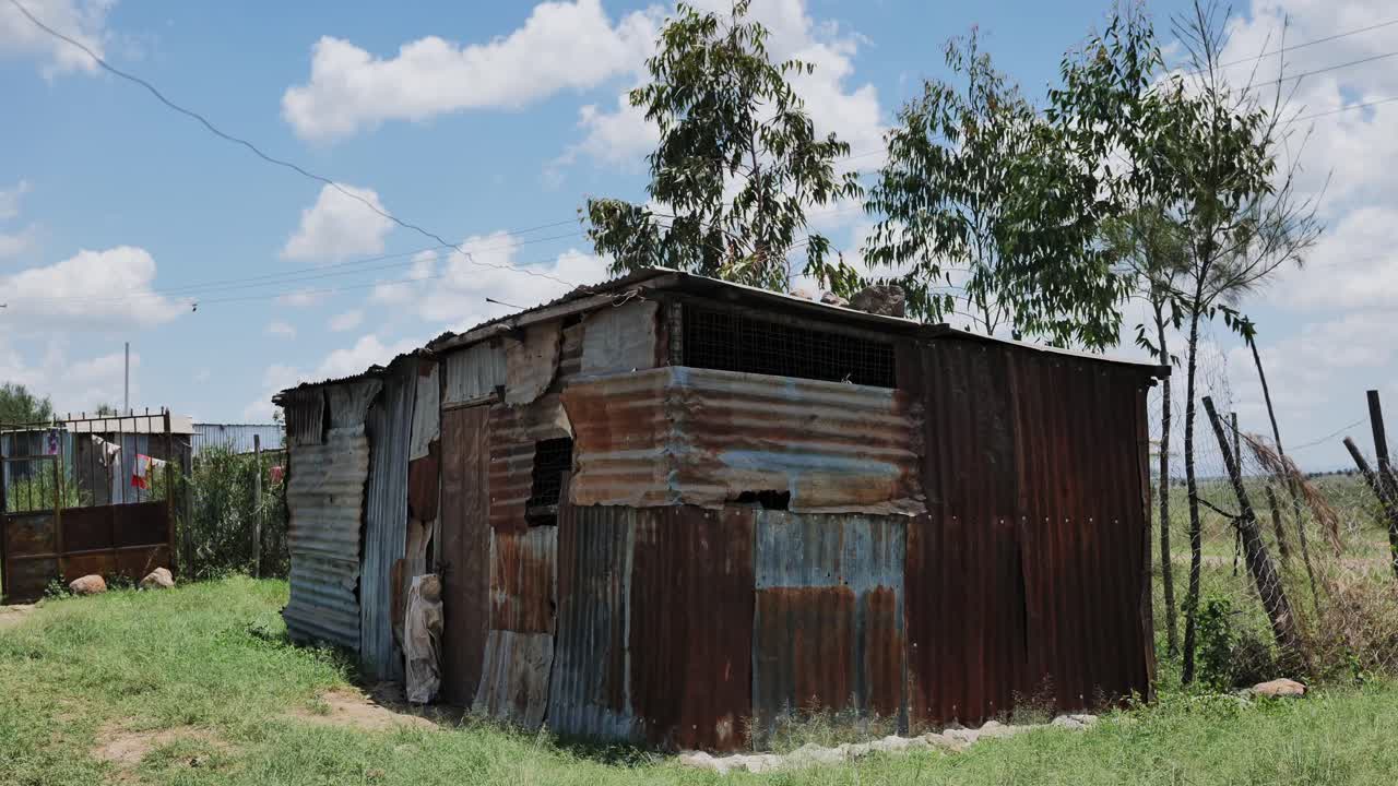 A weathered shed made of corrugated metal stands in a green field, surrounded by sparse foliage