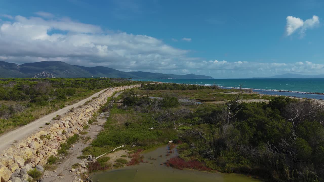parque nacional maremma en toscana, italia. drone aéreo de 4k con bosque de pinos verdes y una ruina de castillo en la costa al atardecer con una isla en la distancia y cielo azul y árboles en forma de paraguas