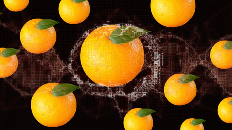 animación de un cerebro digital con una hélice de adn sobre naranjas contra un fondo negro.
