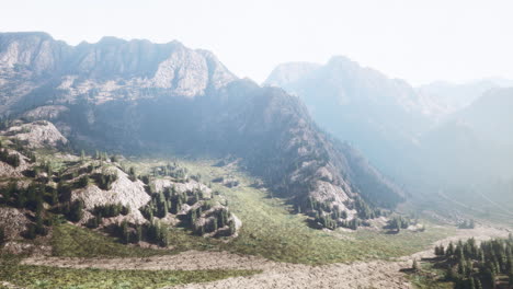 Fir-and-other-pine-trees-on-mountains-on-a-sunny-end-of-summer