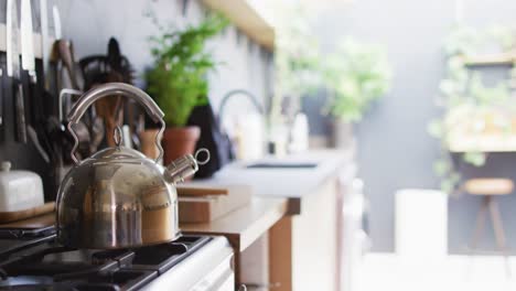 Video-of-kettle-on-hob-in-sunny,-modern-kitchen-with-lots-of-plants-and-dark-grey-walls