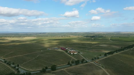 4k-Aerial-circular-path-through-an-olive-oil-tree-farm-in-Portugal