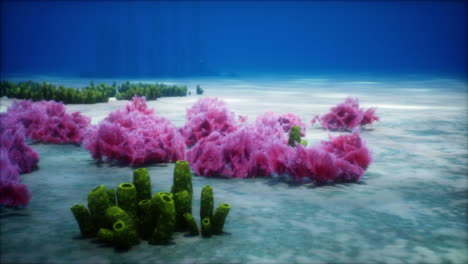 la vibrante escena de los arrecifes de coral submarinos
