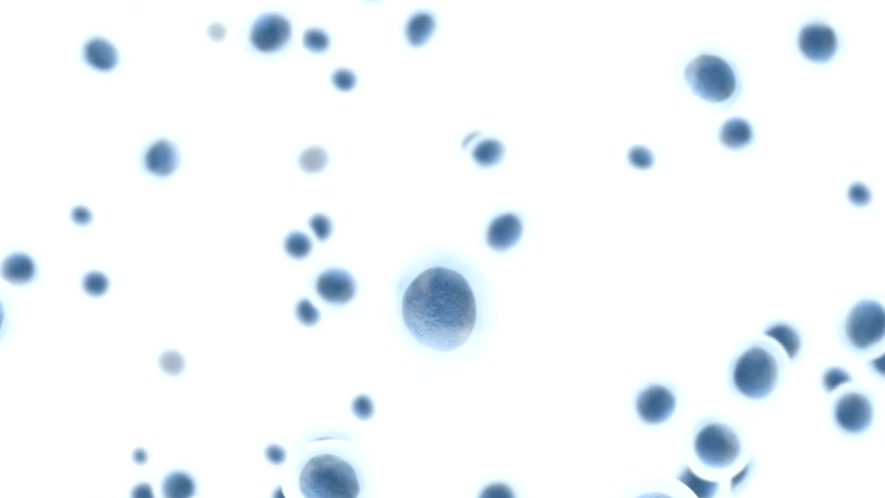 células en movimiento bajo el microscopio