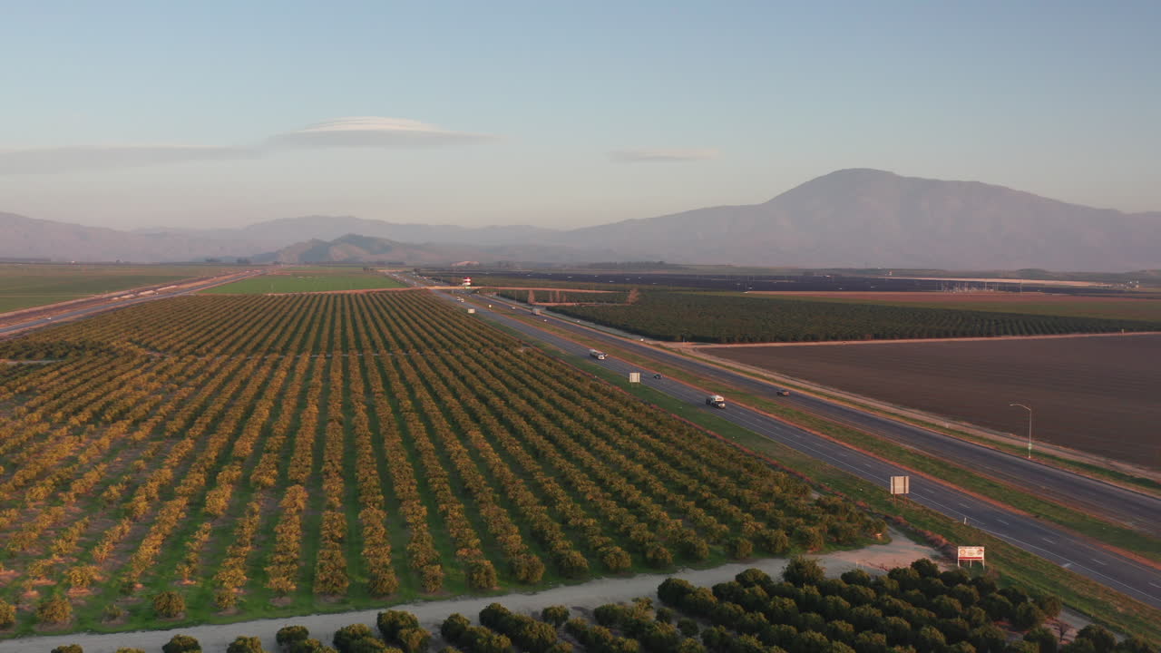 Vista aérea de hileras de árboles en Bakersfield, California
