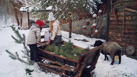 cute little kids are sitting into big wooden sledge in winter. girl holding an envelope. small boy and girl near wooden house and a sheep on snowy background.