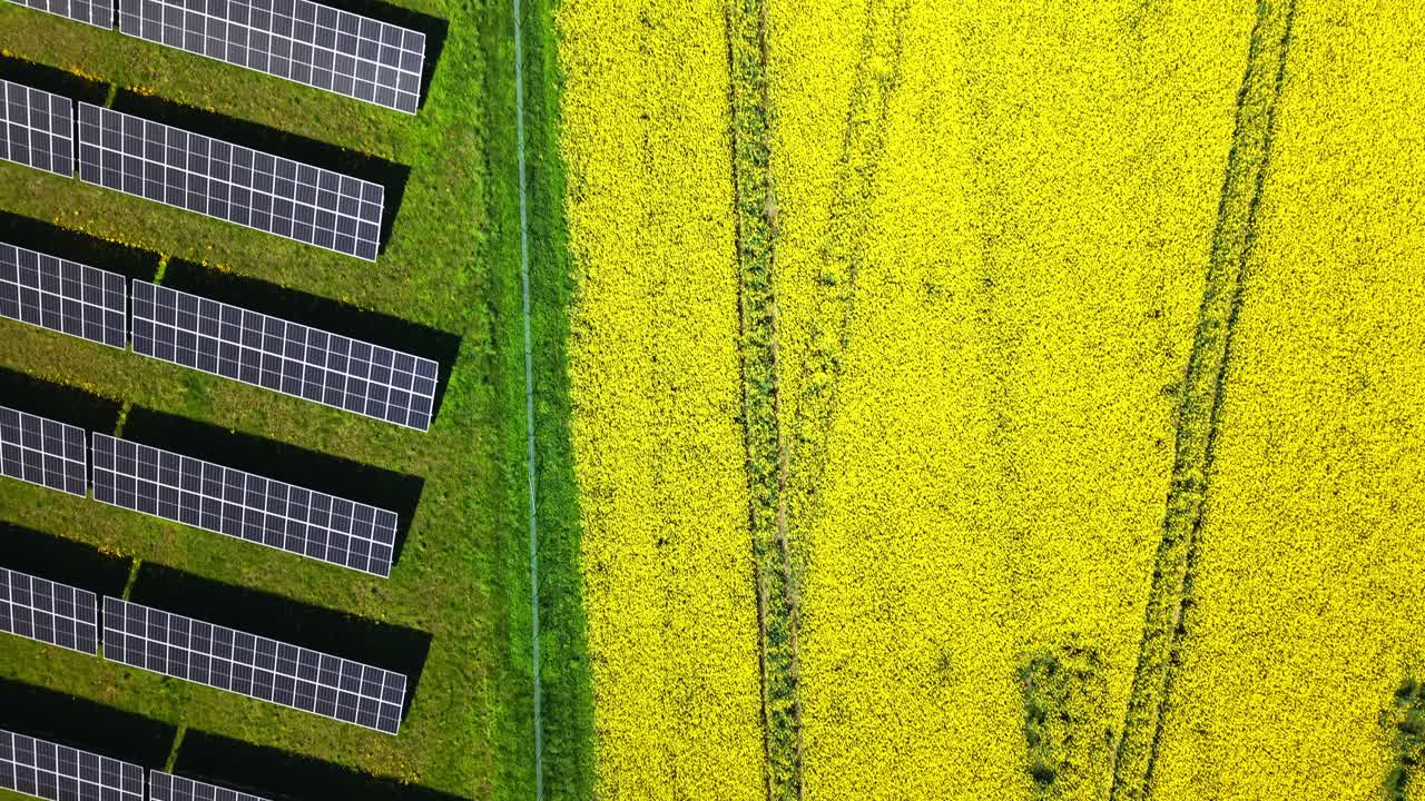 Aerial drone establishing over rapeseed field and modern solar power panels in rural farmland