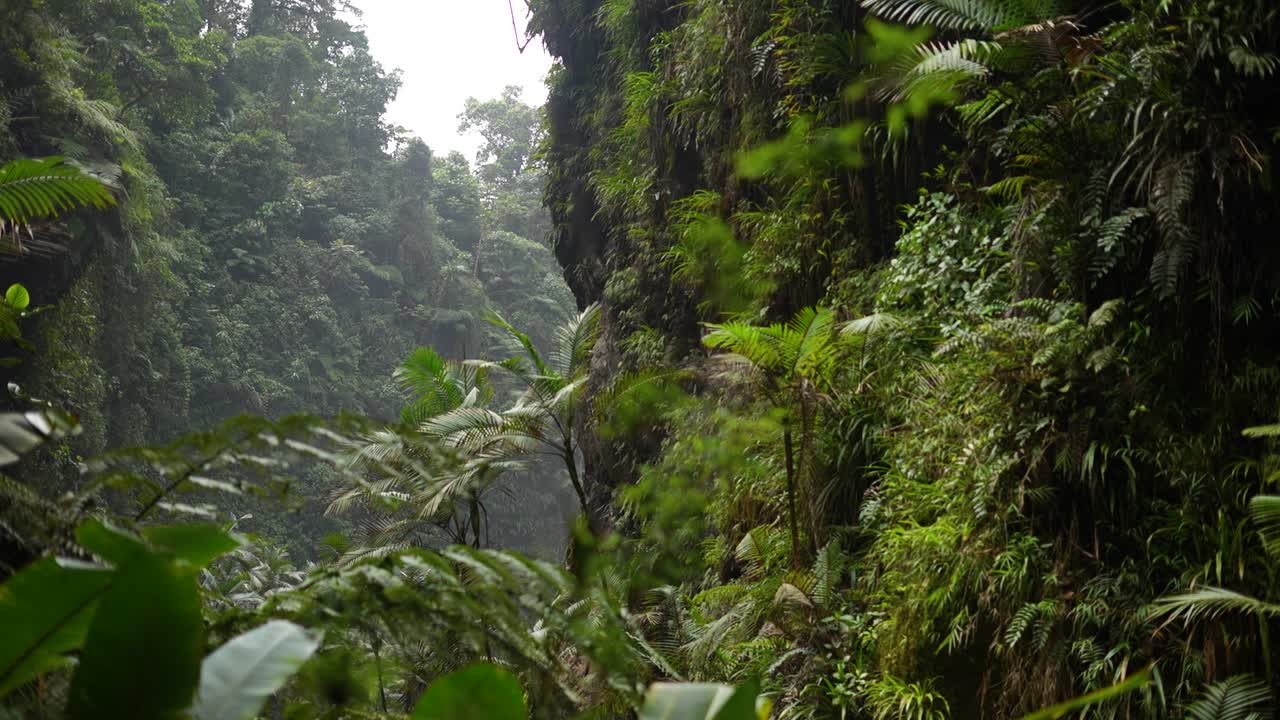 Costa Rican sademetsä vuorten ja kallioiden vieressä