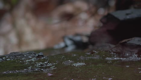 Friedliches-Bachwasser,-Fließende-Felssteine