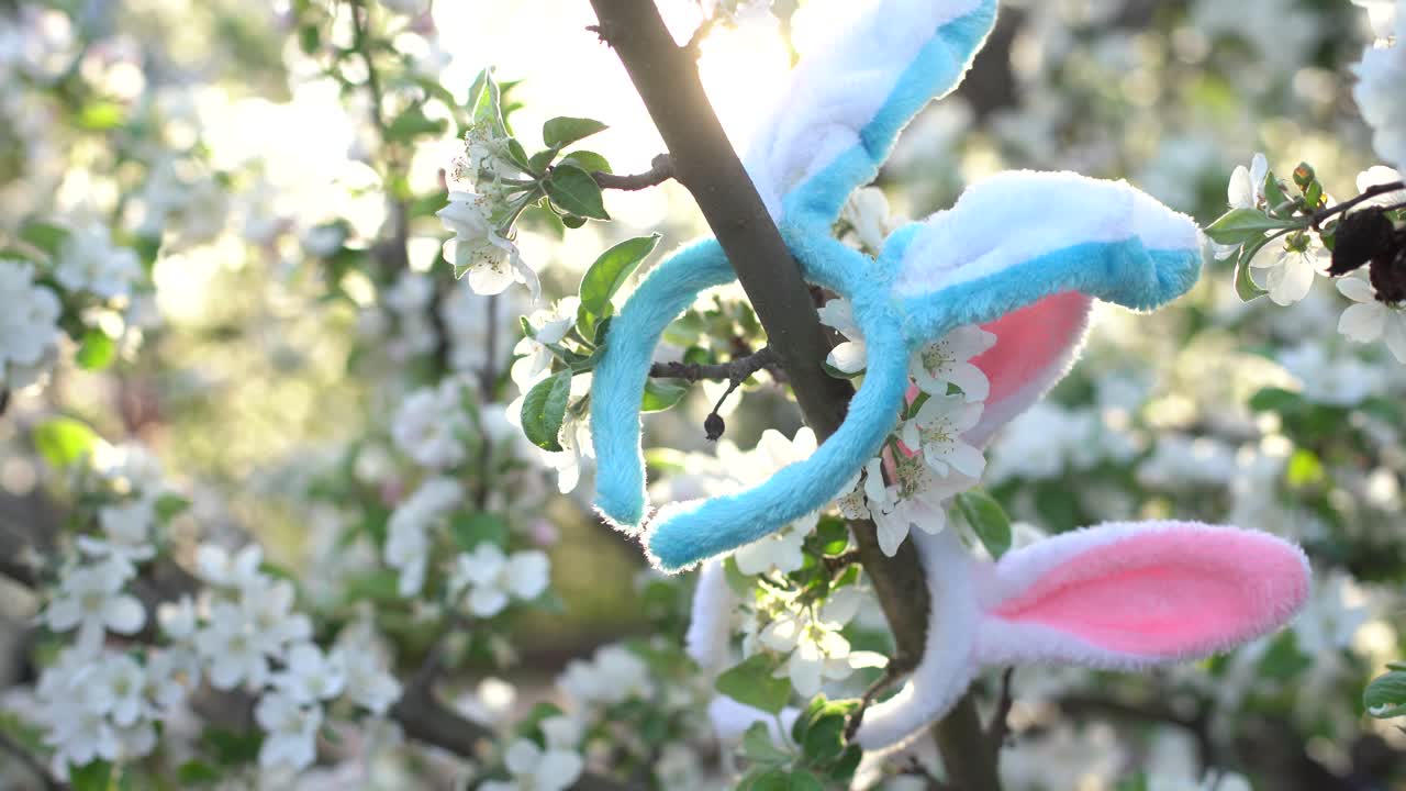 꽃이 피는 나무 에 있는 토끼 귀, 부활절