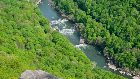 view of new river gorge national park river