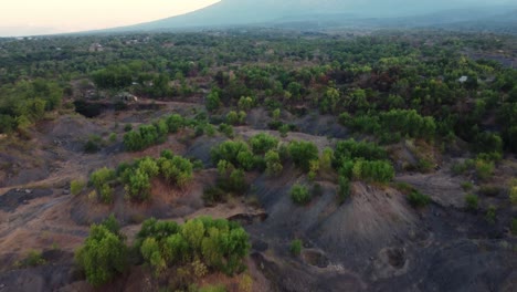 Tianyar-savanna-with-greenery-and-mountains-in-bali-indonesia-at-dawn,-aerial-view