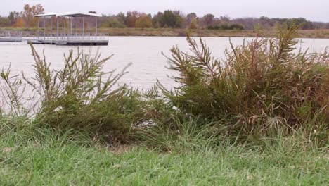 los arbustos soplan con el viento junto al agua del lago con un muelle en segundo plano en un día nublado